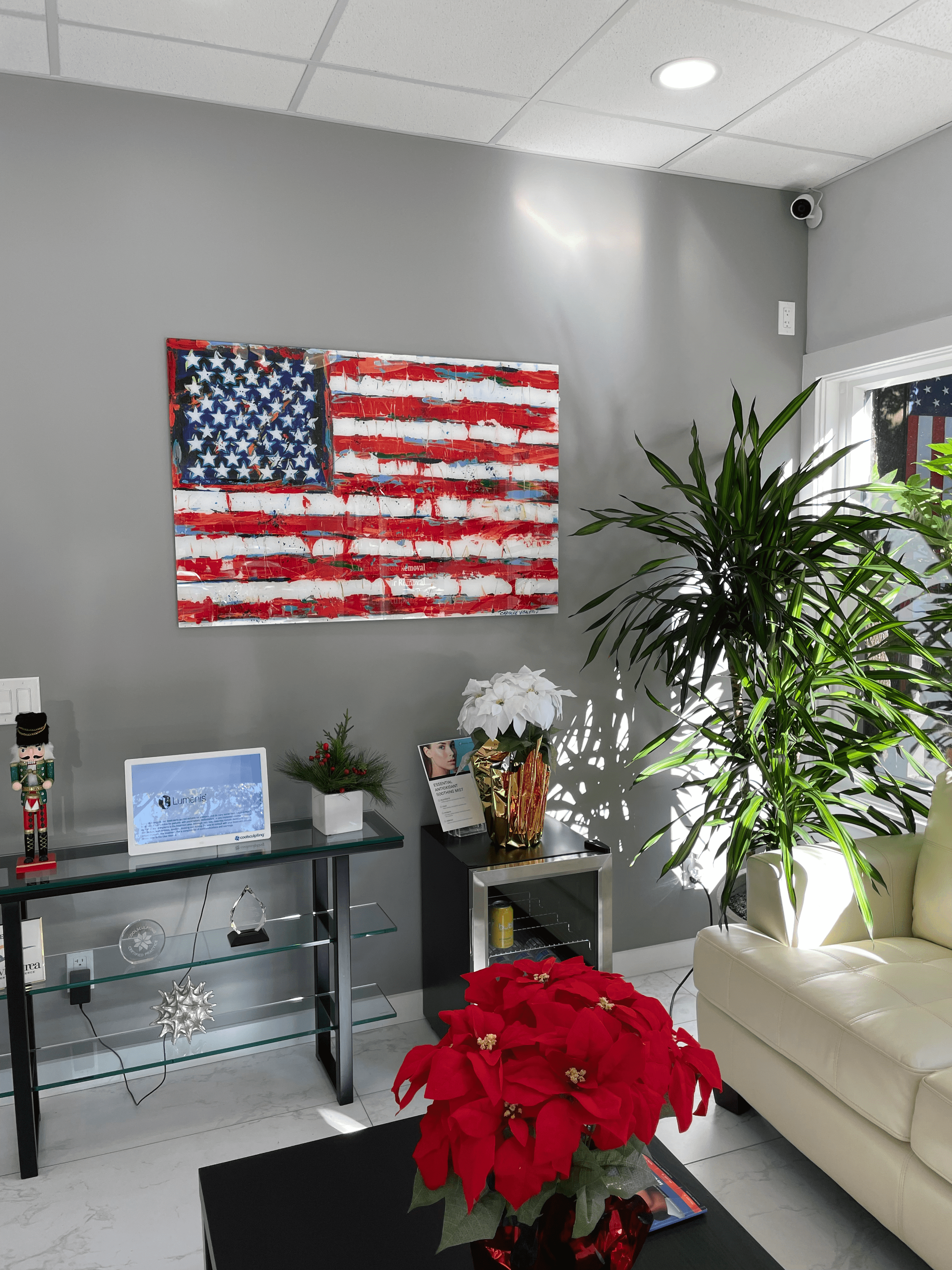 Happy Veterans Day 2021 at Essential Aesthetics